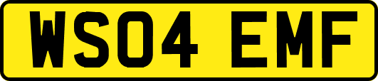 WS04EMF