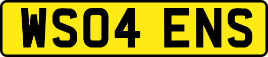 WS04ENS