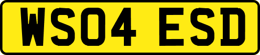 WS04ESD