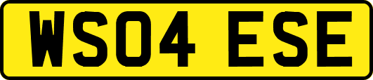 WS04ESE