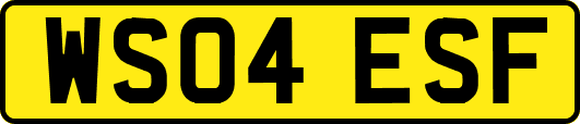 WS04ESF
