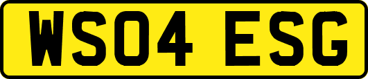WS04ESG
