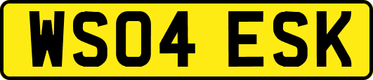 WS04ESK
