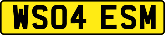 WS04ESM