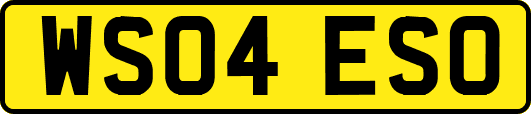 WS04ESO