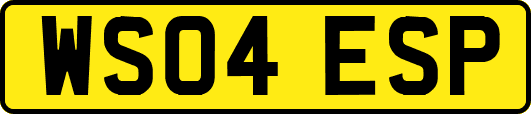 WS04ESP