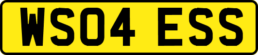 WS04ESS