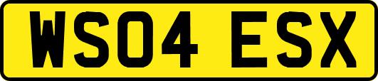 WS04ESX