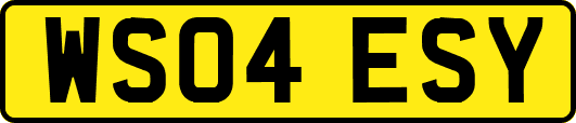 WS04ESY