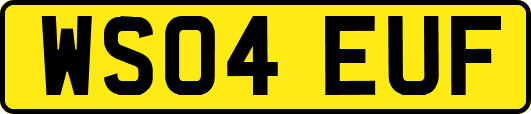 WS04EUF