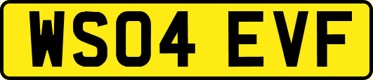 WS04EVF