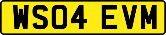 WS04EVM