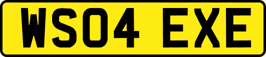WS04EXE