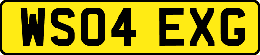 WS04EXG