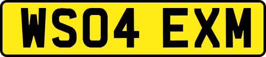 WS04EXM