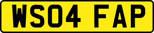 WS04FAP