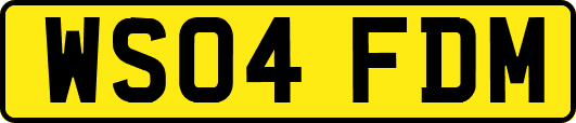 WS04FDM