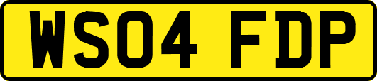 WS04FDP