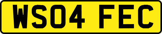 WS04FEC