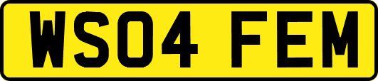 WS04FEM