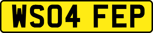 WS04FEP