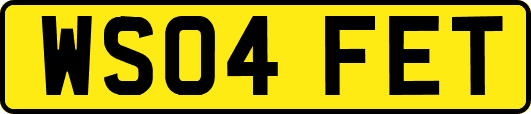 WS04FET