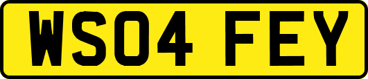 WS04FEY