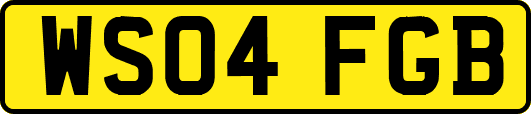WS04FGB
