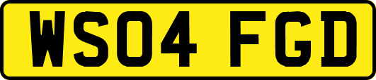 WS04FGD