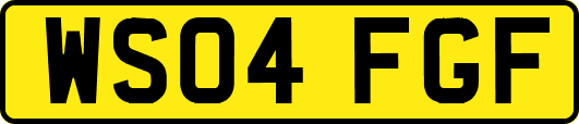 WS04FGF