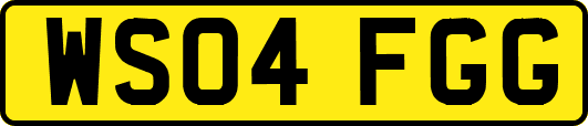WS04FGG