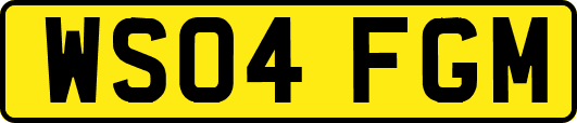 WS04FGM