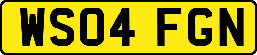 WS04FGN