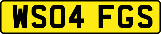 WS04FGS