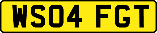 WS04FGT