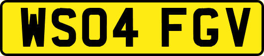 WS04FGV