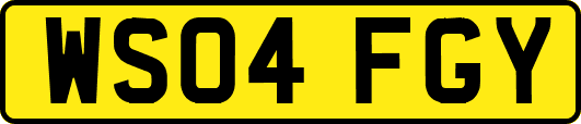WS04FGY
