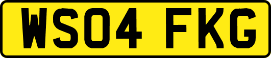 WS04FKG