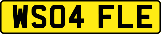 WS04FLE