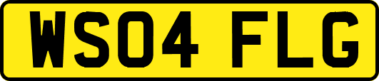 WS04FLG