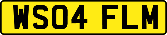 WS04FLM