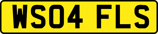 WS04FLS