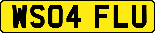 WS04FLU
