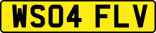 WS04FLV
