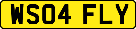 WS04FLY