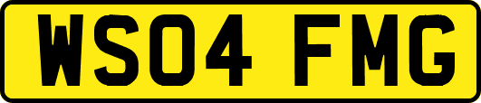 WS04FMG