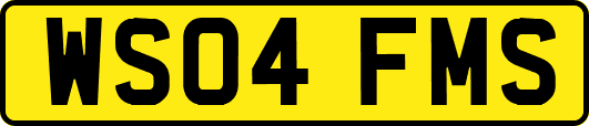 WS04FMS