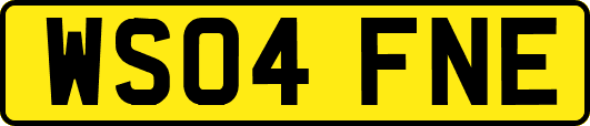 WS04FNE