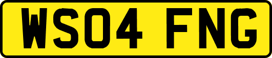 WS04FNG
