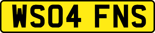 WS04FNS